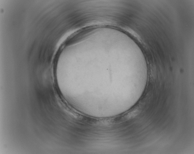 X0000075821078200610061751