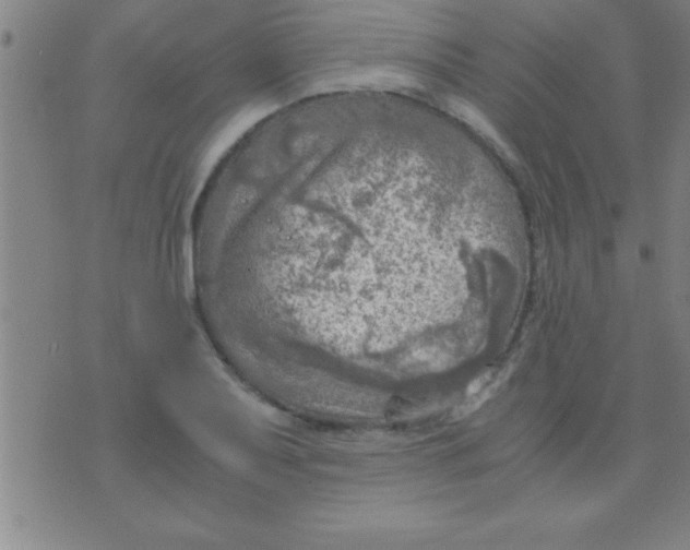 X0000075821079200610061751