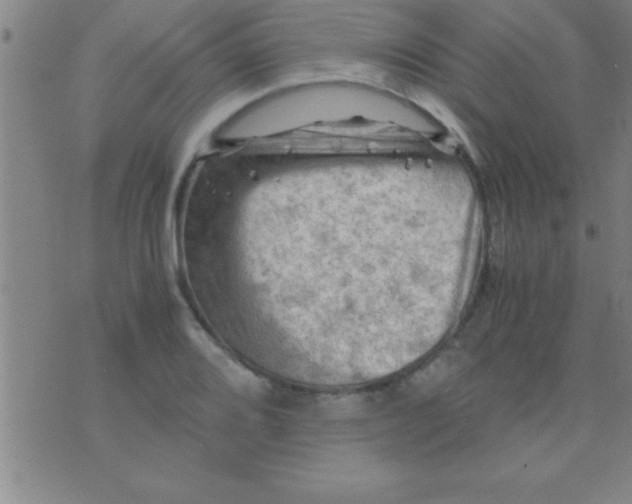 X0000075821080200610061751