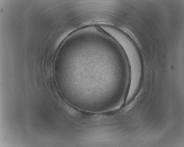 X0000075821081200610061751