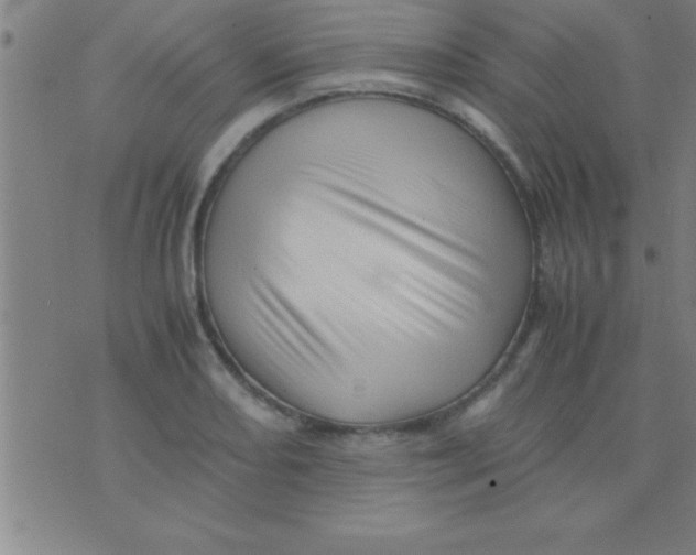 X0000075821082200610061751