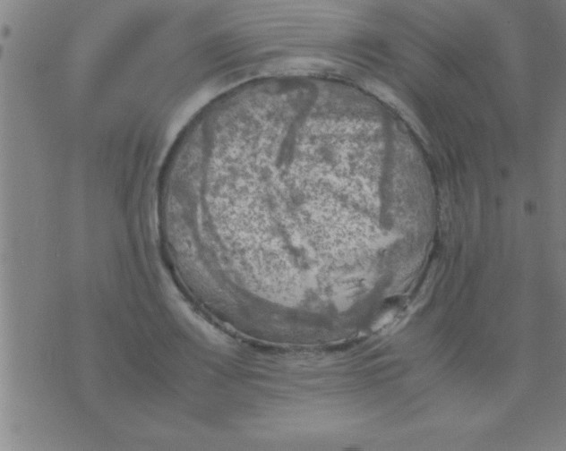 X0000075821083200610061751