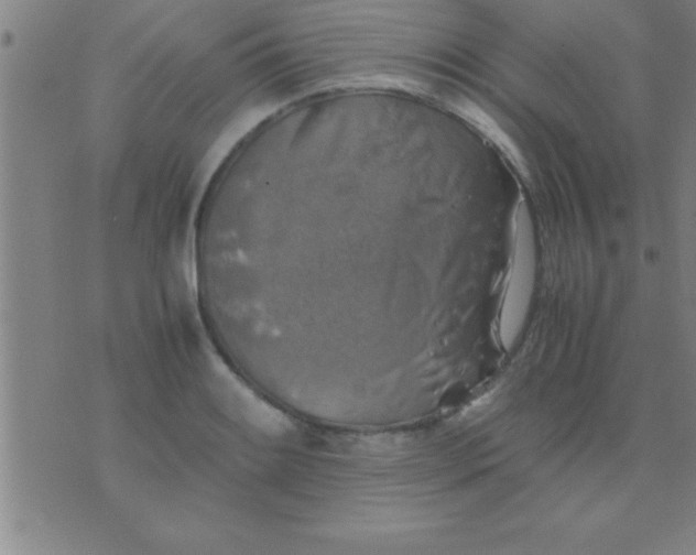 X0000075821084200610061751