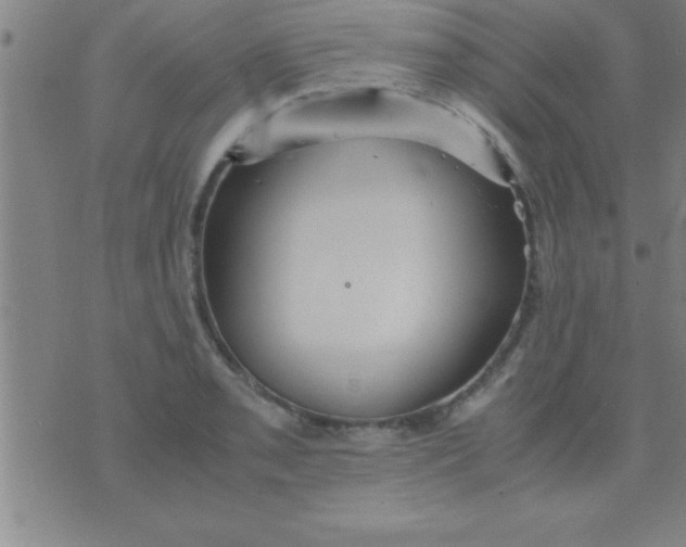 X0000075821085200610061751