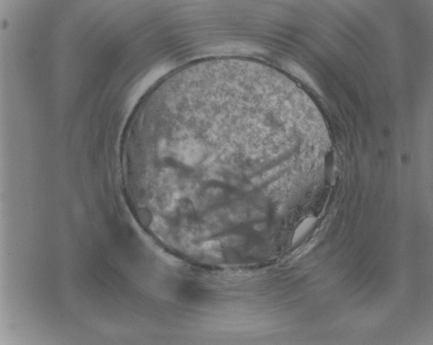 X0000075821087200610061751