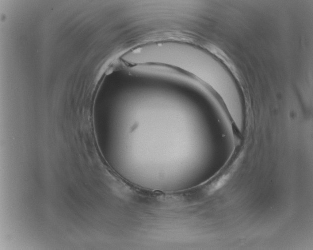 X0000075821089200610061751