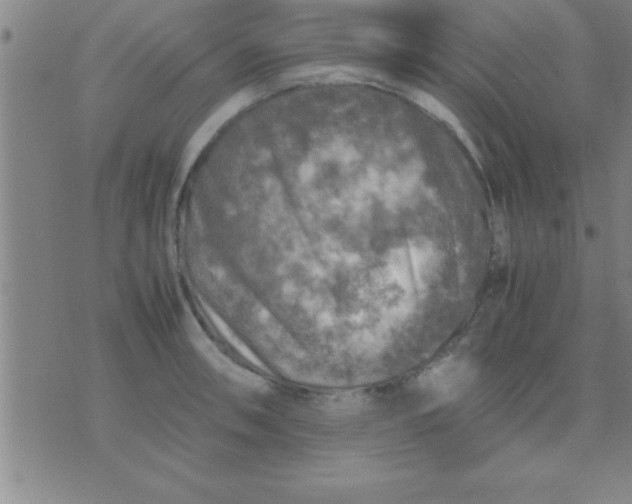 X0000075821090200610061751