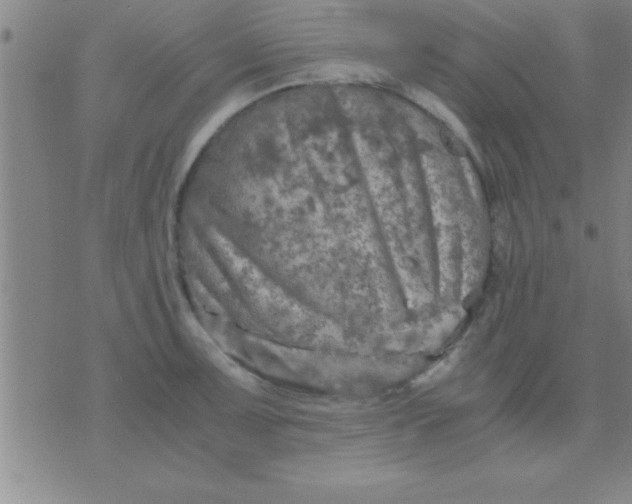 X0000075821091200610061751