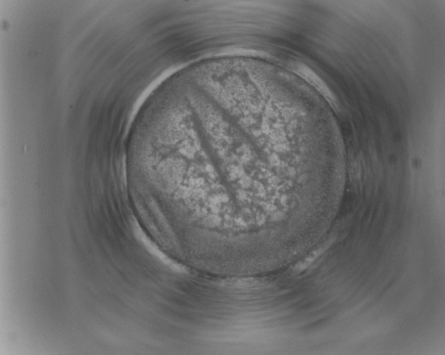 X0000075821092200610061751