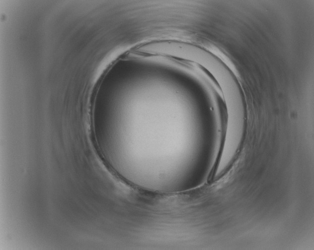 X0000075821093200610061751