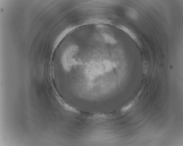 X0000075821094200610061751