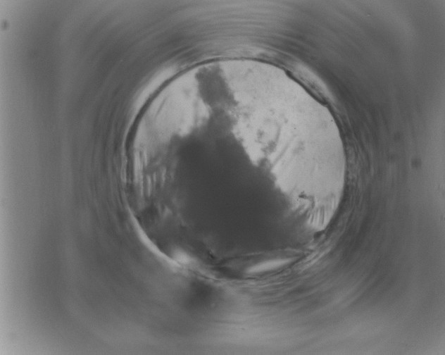 X0000075821095200610061751