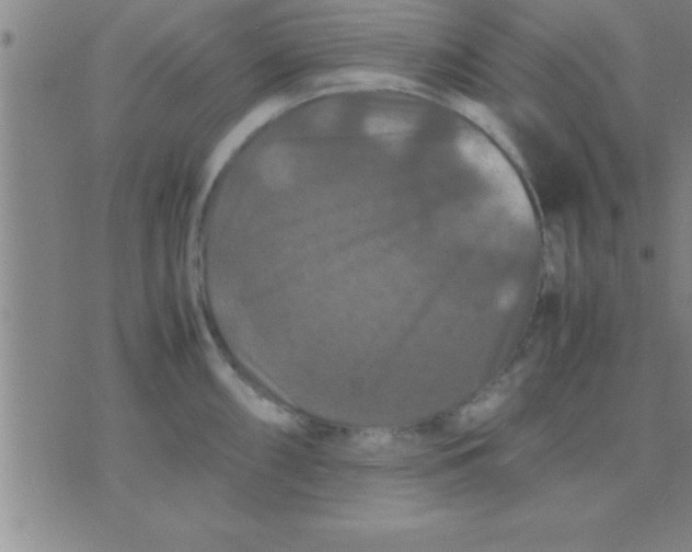 X0000075821098200610061750