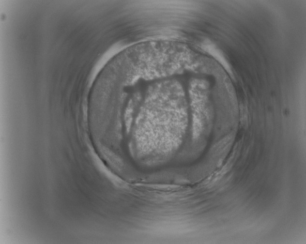 X0000075821099200610061750