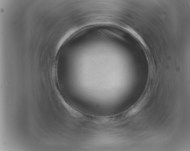 X0000075821101200610061750