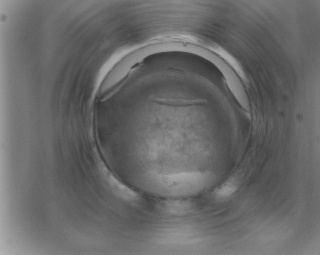 X0000075821102200610061750