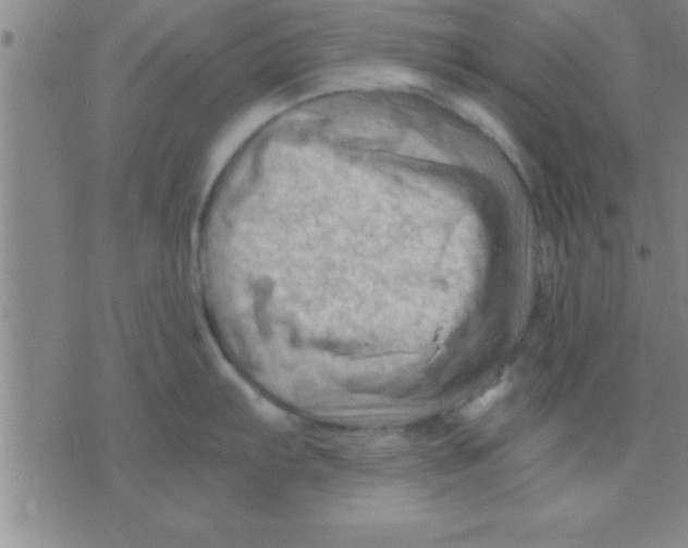 X0000075821103200610061750