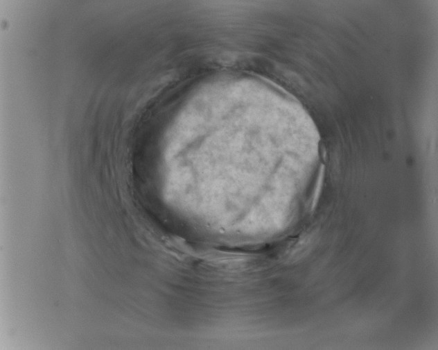 X0000075821105200610061750