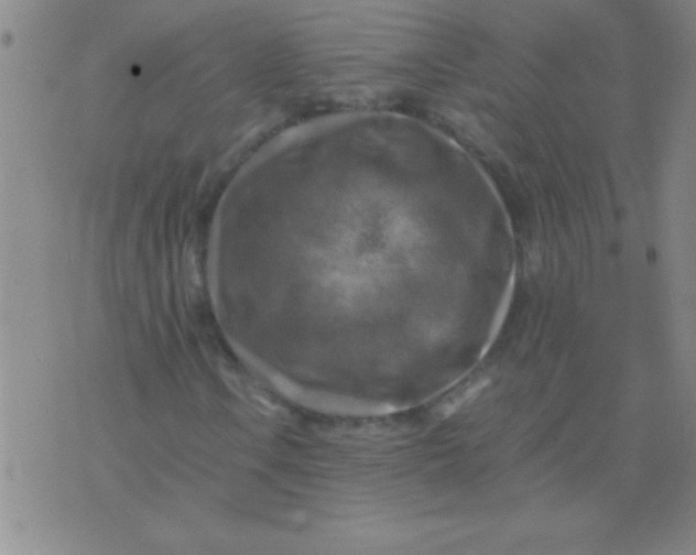 X0000075821106200610061750