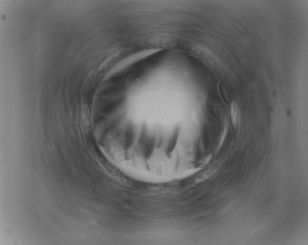 X0000075821107200610061750