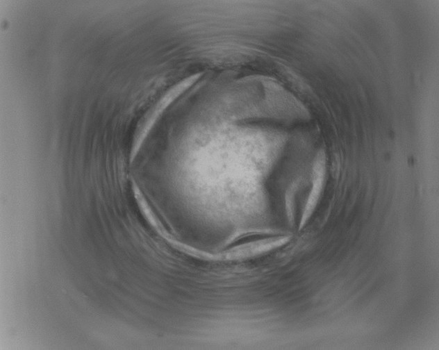 X0000075821108200610061750