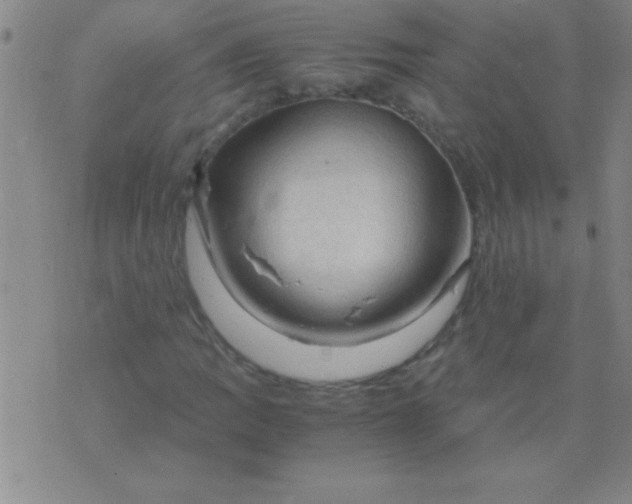 X0000075821109200610061750