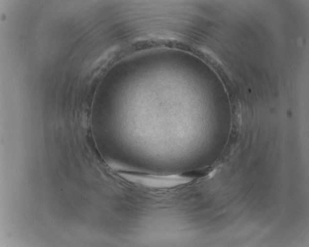 X0000075821110200610061750