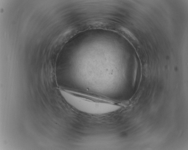 X0000075821111200610061750