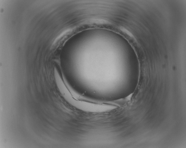 X0000075821112200610061750