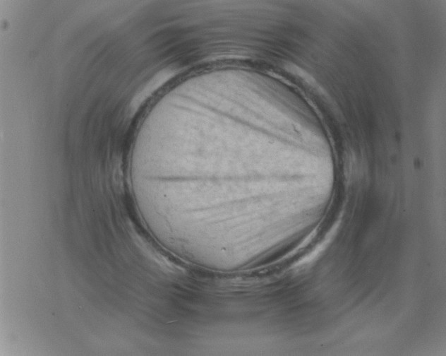 X0000075821113200610061750