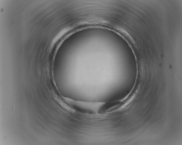 X0000075821114200610061750