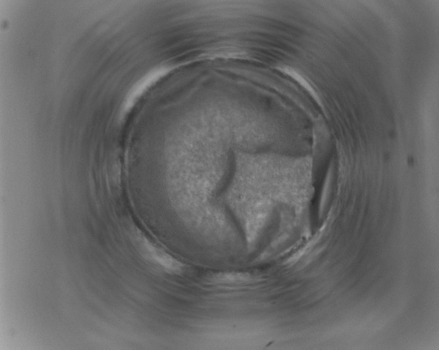 X0000075821115200610061750