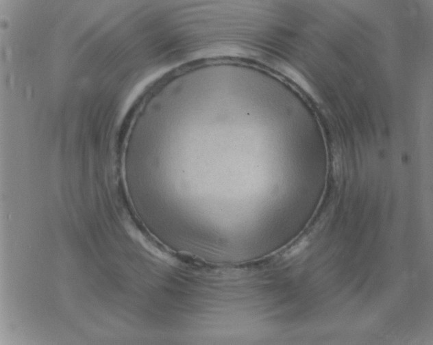 X0000075821116200610061750