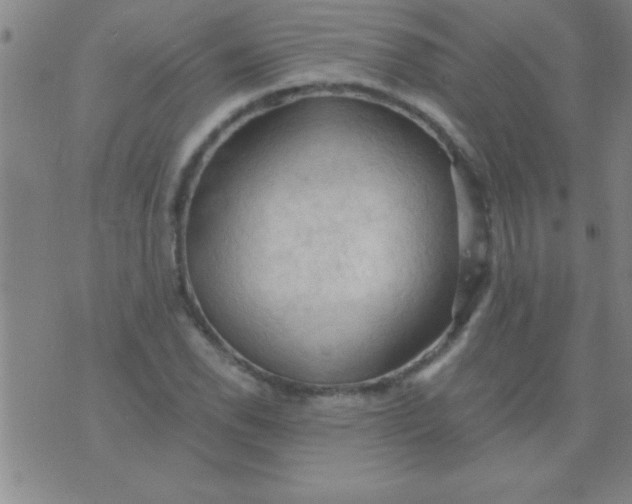 X0000075821118200610061750