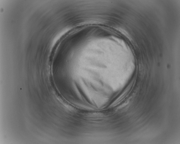 X0000075821119200610061750