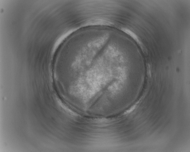 X0000075821120200610061750