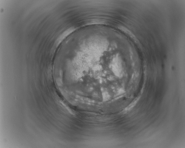 X0000075821121200610061750