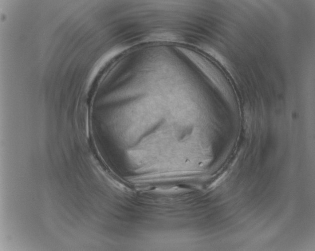 X0000075821123200610061750