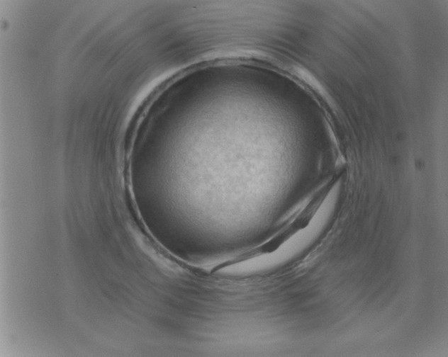 X0000075821124200610061750