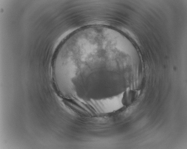 X0000075821125200610061750