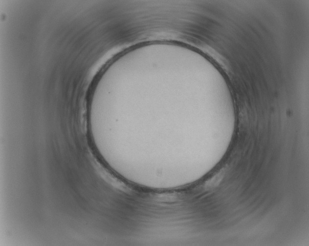 X0000075821126200610061750