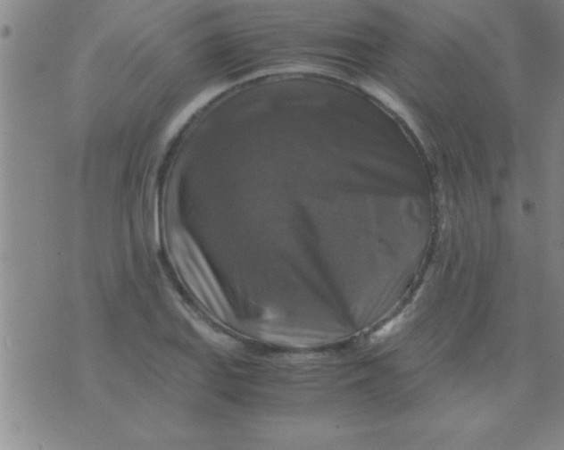 X0000075821127200610061750