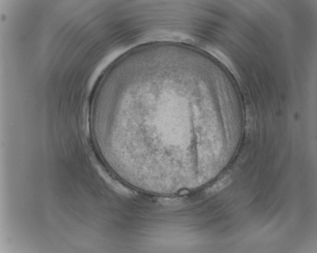 X0000075821128200610061750