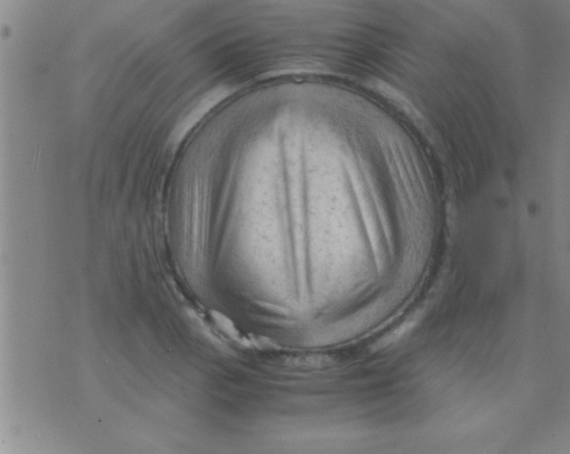 X0000075821129200610061750