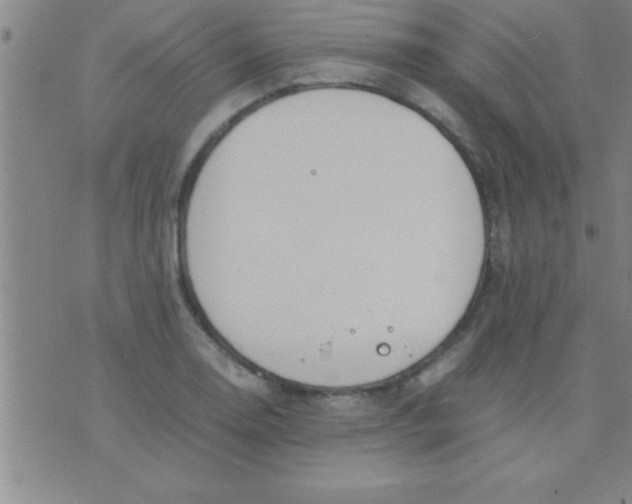 X0000075821130200610061750