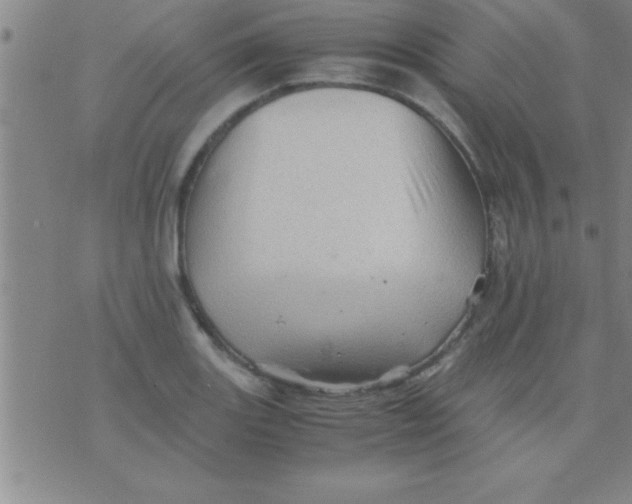 X0000075821131200610061750