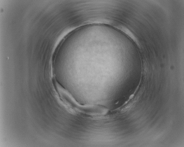 X0000075821132200610061750