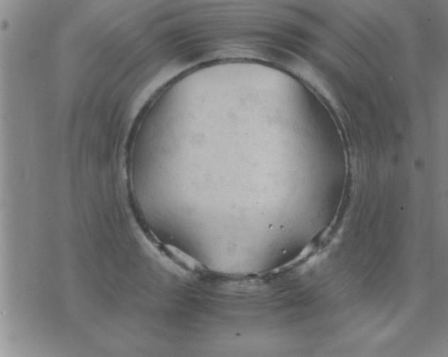 X0000075821133200610061750