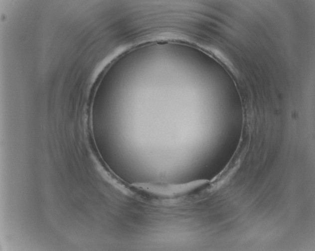 X0000075821134200610061750