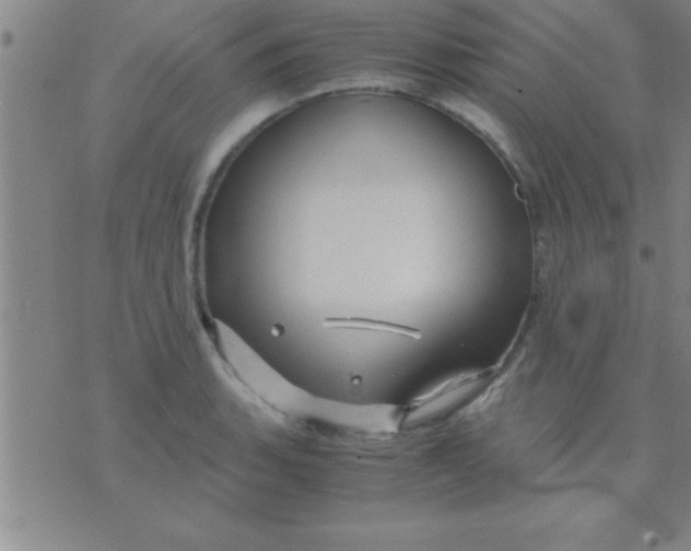 X0000075821135200610061750